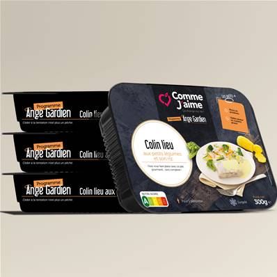 COLIN LIEU AUX PETITS LEGUMES Pack 4 plats surgelés